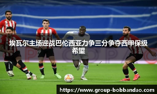 BOB半岛